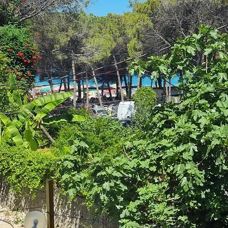 Daire Sibora's Golem (Tirana)